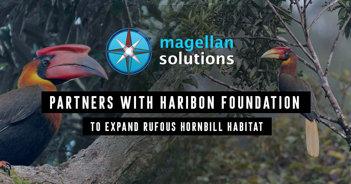 Magellan Solutions CSR