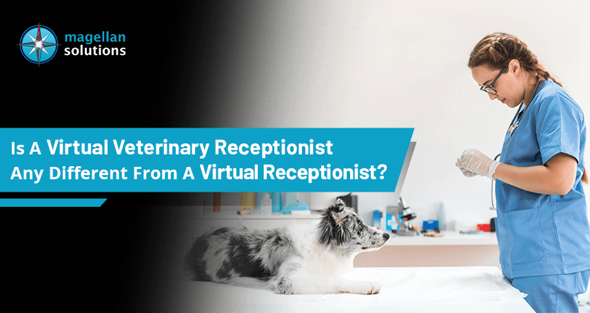 What Is A Virtual Veterinary Receptionist