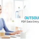 Outsource PDF Data Entry Services To The Best Data Entry Clerk