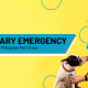 A blog banner by Magellan Solutions titled Veterinary Emergency Answering Service Mitigates Pet Crisis