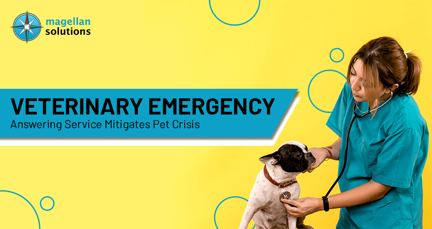 A blog banner by Magellan Solutions titled Veterinary Emergency Answering Service Mitigates Pet Crisis