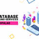Why Database Outsourcing Services Is Popular