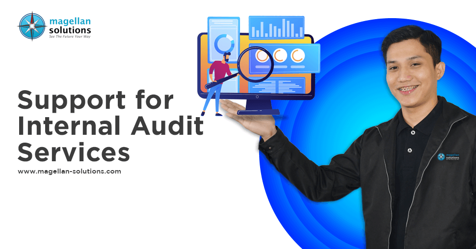 Support for internal audit services