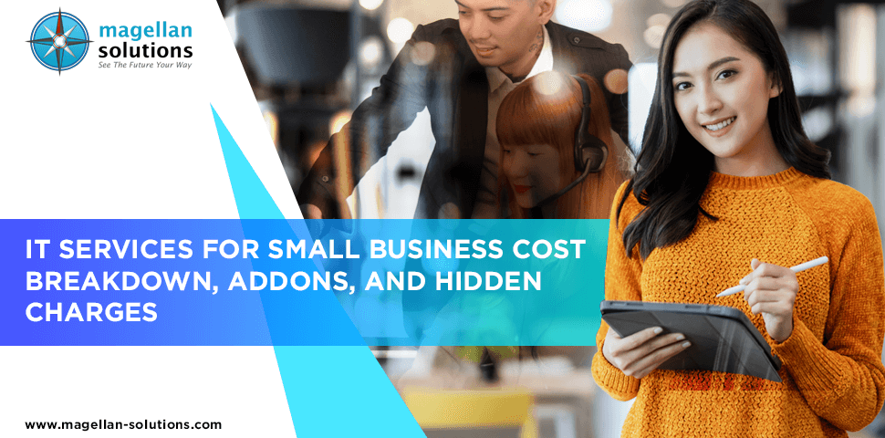 IT Services for Small Business Cost Breakdown, Addons, and Hidden Charges banner